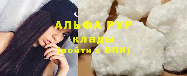 гашик Богородск