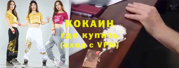 гашик Богородск