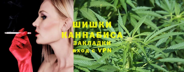винт Богданович