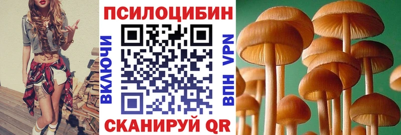 мега ссылка  купить наркоту  Боровичи  Галлюциногенные грибы Magic Shrooms 