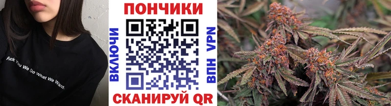 Каннабис семена  Боровичи 